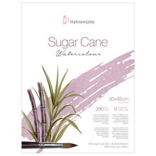 Load image into Gallery viewer, HAHNEMÜHLE - The Natural Line Sugar Cane Watercolor Pads &amp; Blocks
