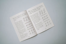 Load image into Gallery viewer, LIBRO - The Technique of Copperplate Calligraphy
